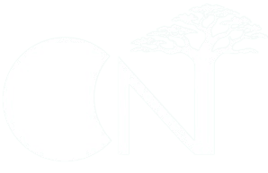 image logo